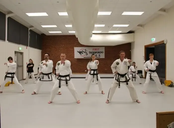 Taekwondo Patterns and Hyung